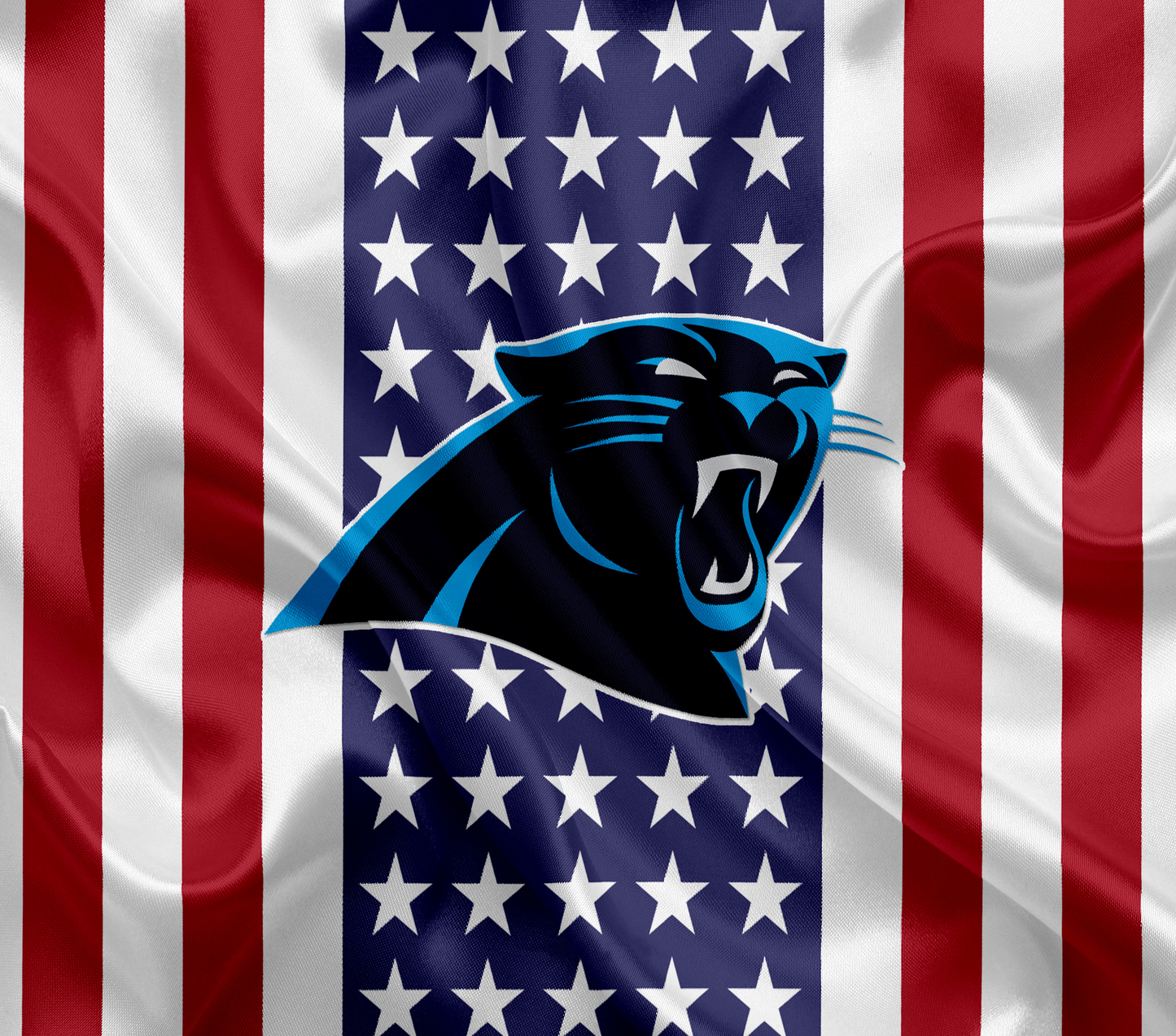 Carolina Panthers 20oz Tumbler