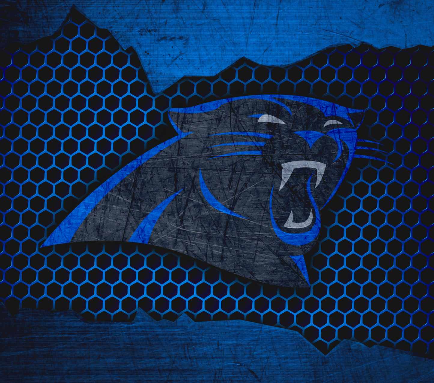 Carolina Panthers 20oz Tumbler