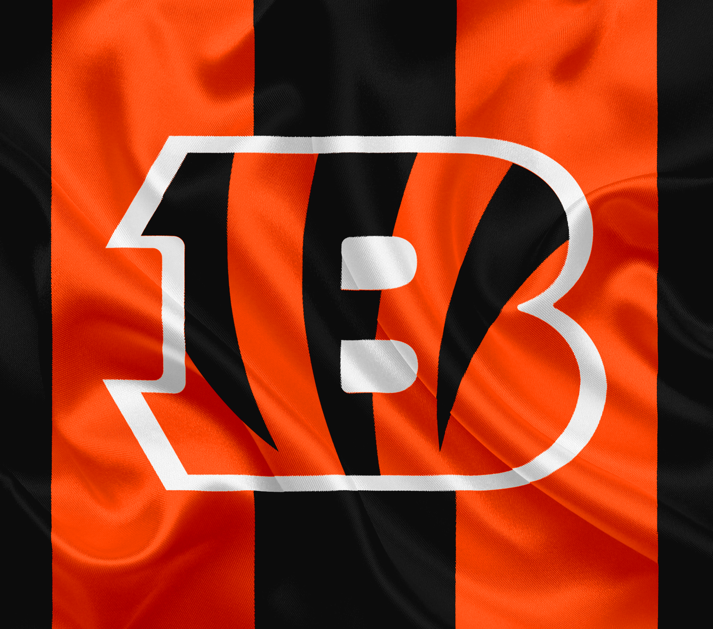 Cincinnati Bengals 20oz Tumbler