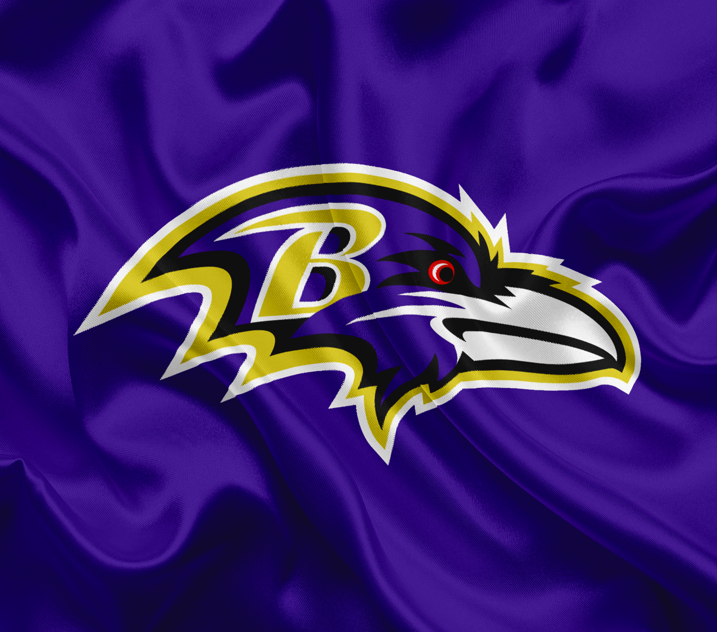 Baltimore Ravens 20oz Tumbler