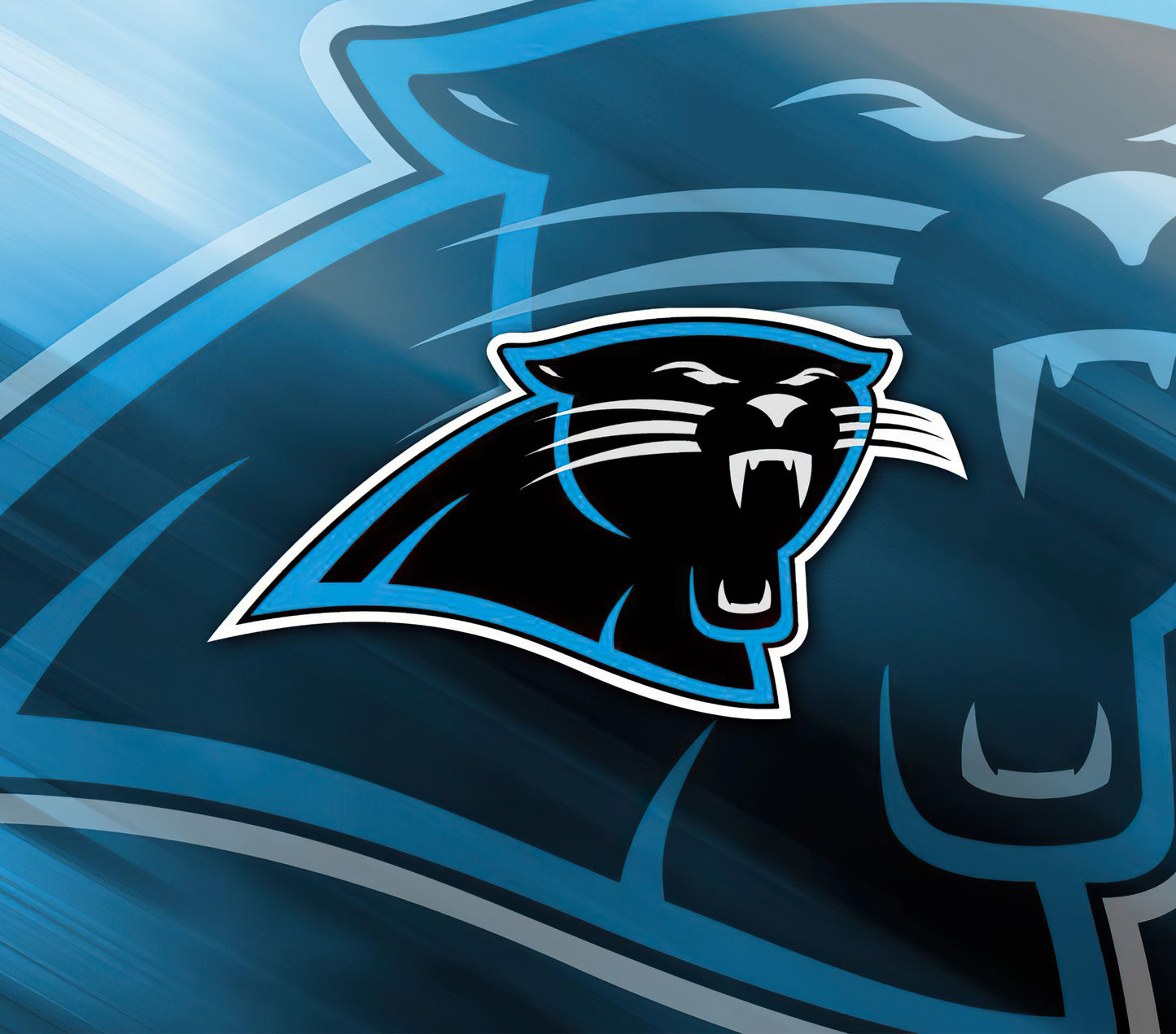 Carolina Panthers 20oz Tumbler
